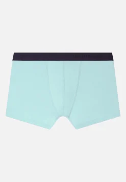 Le slip français Broderie 🪡|Boxers<Boxer en coton-Marius Baie Vert