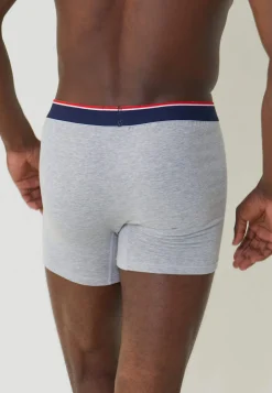 Le slip français Broderie 🪡|Boxers<Boxer long en coton-Michel Chiné Gris
