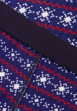 Le slip français Collection Cadeaux|Slips<Slip en coton-Terrible Flocon Violet