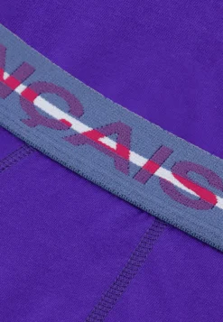 Le slip français Broderie 🪡|Slips<Slip en coton-Terrible Uni Velours Violet